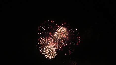 espectáculo de fuegos artificiales en cámara lenta