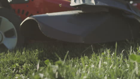 lawn mower on grass