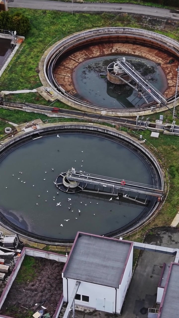 Aerial View of Wastewater Treatment Plant with Seagulls