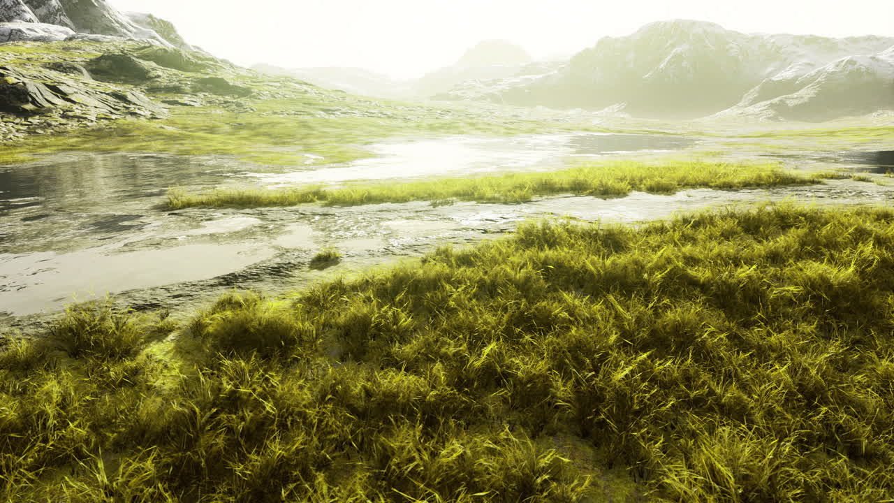 Lush green landscape with calm water reflecting sunlight in serene environment