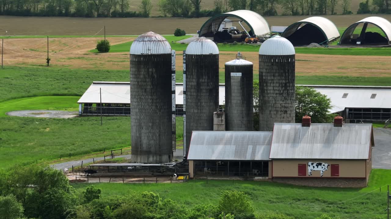 Amerikanischer Milchviehbetrieb mit Silospeichern auf dem amerikanischen Land. Luftaufnahme. Vieh und gewölbter Unterstand im Hintergrund