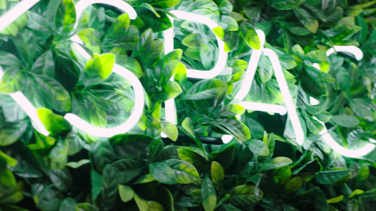 빛나는 네온 표지판 광고 비즈니스 작업 공간 밝은 활기찬 표지판 녹색 식물 벽 실내 사무실 작업장 추적