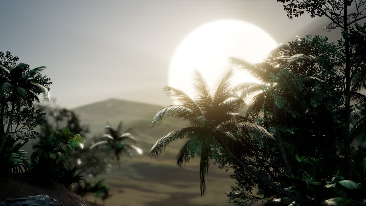 palmeras de coco paisaje tropical