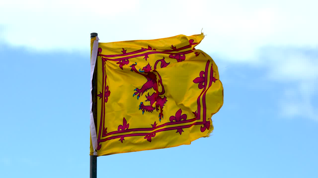 Yellow lion rampant flag flutters dynamically in daylight, captured in close-up with static camera