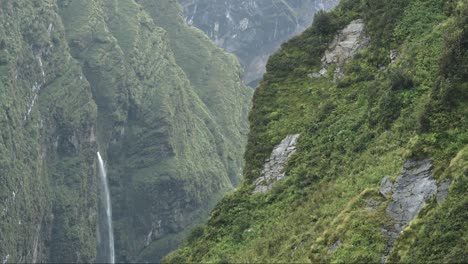 waterfall and rugged mountain scenery in the rocky himalayas mountains landscape in the annapurna region of nepal, dramatic imposing mountain scenery with green trees and steep forest