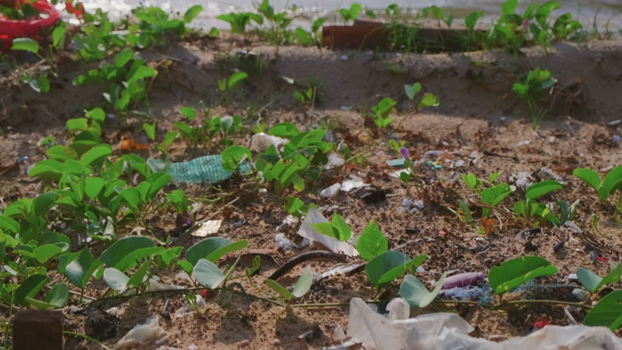 Plastic Pollution on a Beach