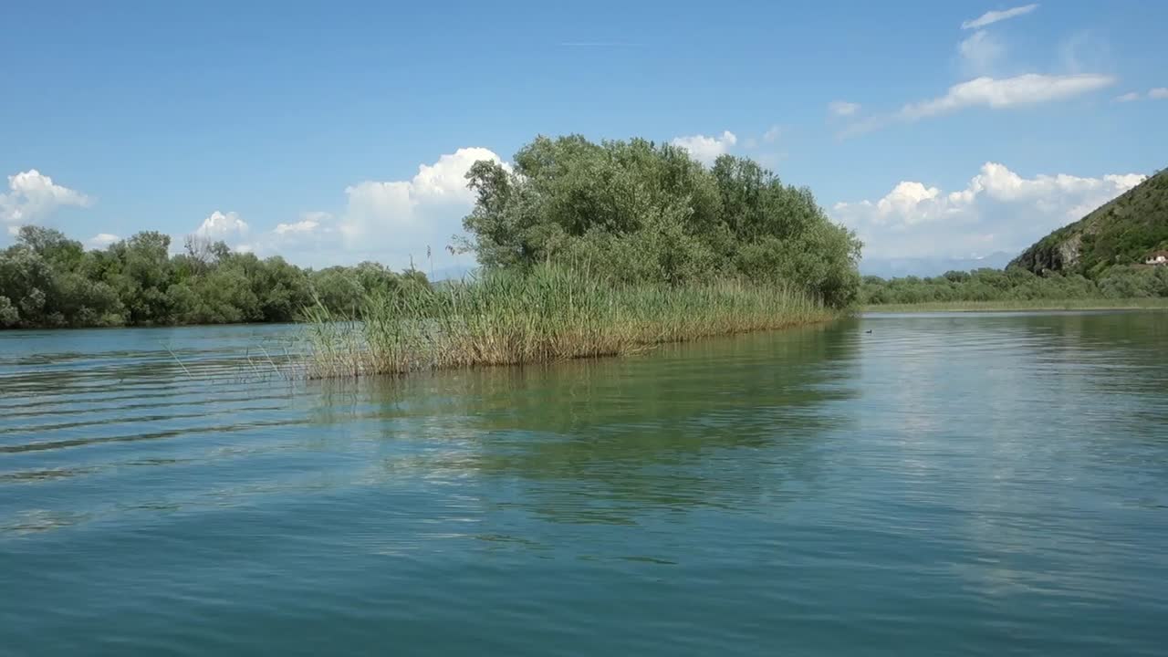 vegetation and tranquil water in Lake Skadar or Lake Scutari, on the border of Albania and Montenegro