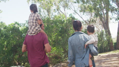 vista trasera de la familia caminando por el camino a través del bosque juntos