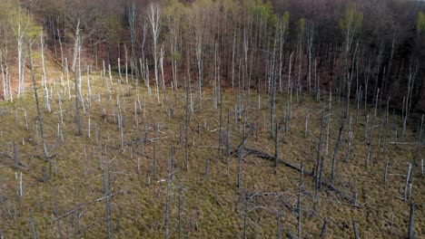 Bernsteinberg-Heiligtum-In-Lublewo-GdaÅ„skie,-Polen