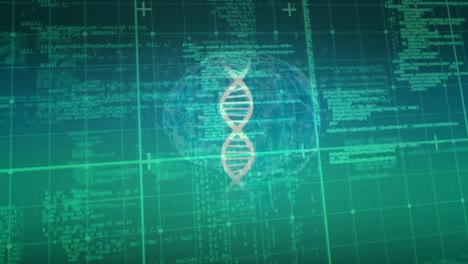 animación del procesamiento de datos, el cerebro humano y el hilado de cadenas de adn
