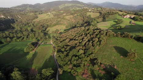 Long-shadows-of-tall-green-trees-in-the-vast-hilly-landscape-of-Valles-Pasiegos-in-the-Spanish-province-of-Cantabria-during-golden-hour