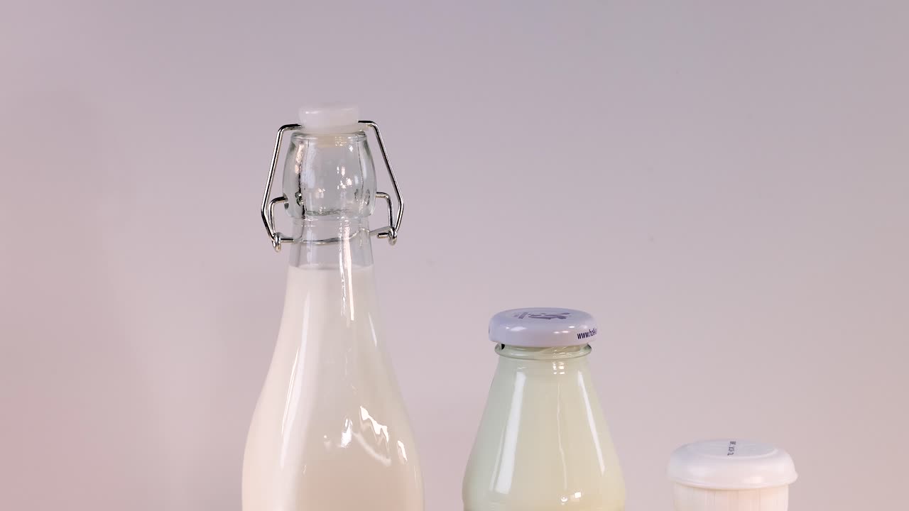 varios productos lácteos dispuestos sobre un fondo blanco