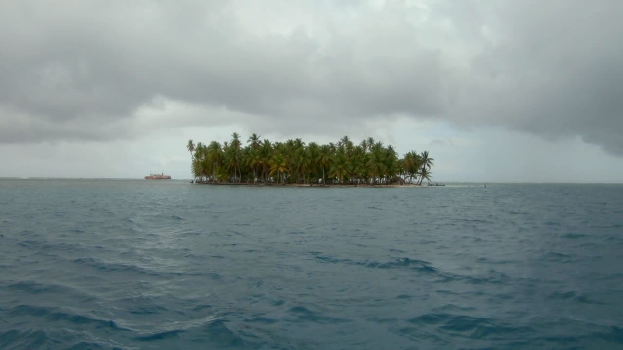 샌블라스 개인 섬 파나마 열대 천국 나무 숲 식물 카리브해