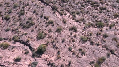 Volando-Sobre-Rocas-Salvajes-De-Purmamarca,-Llenas-De-Hierbas-Verdes,-Norte-De-Argentina