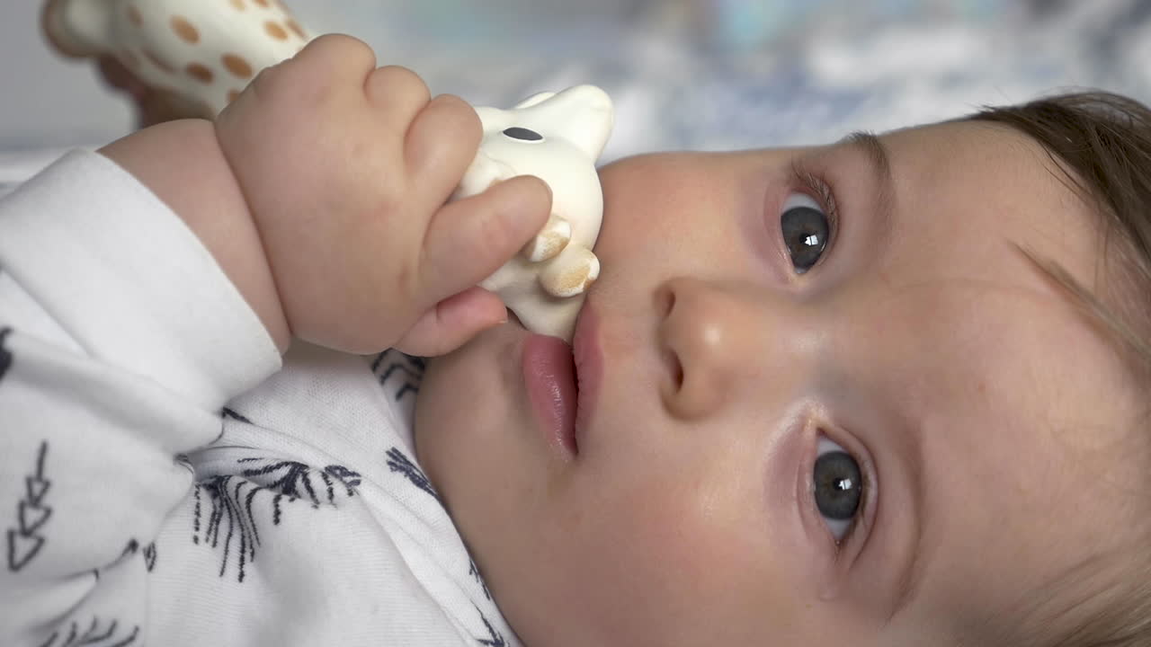 유아 씹는 고무 기린 장난감