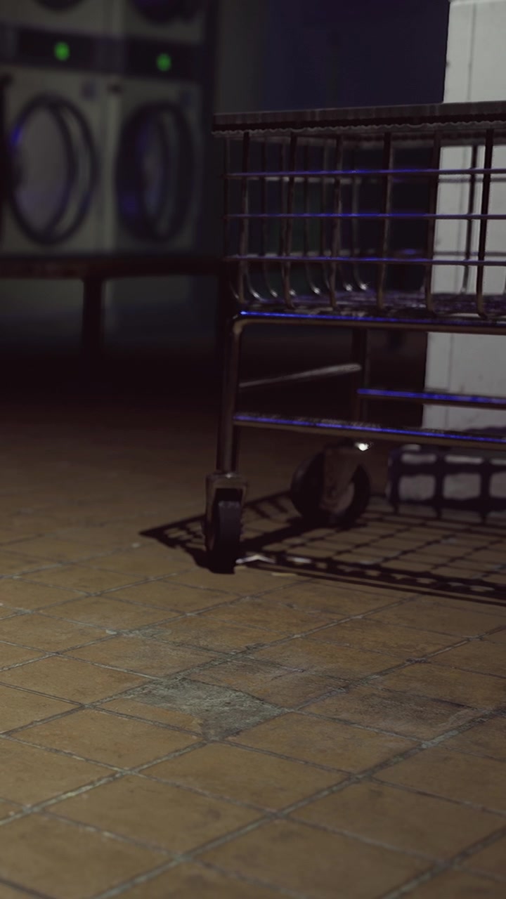 Shopping cart in a quiet laundromat during evening hours