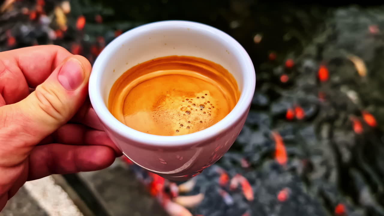 Drinking coffee at Japanese Zen with koi carp fish feeding time frenzy moment