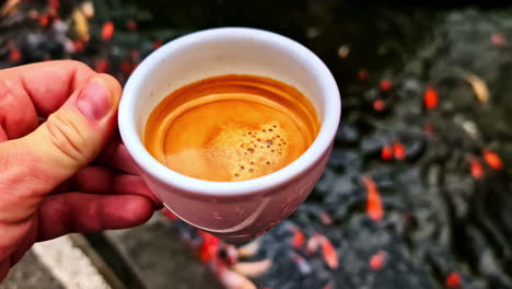 drinking coffee at japanese zen with koi carp fish feeding time frenzy moment