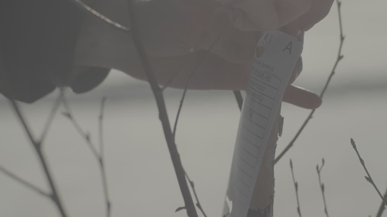 라벨이 붙은 나무 심기