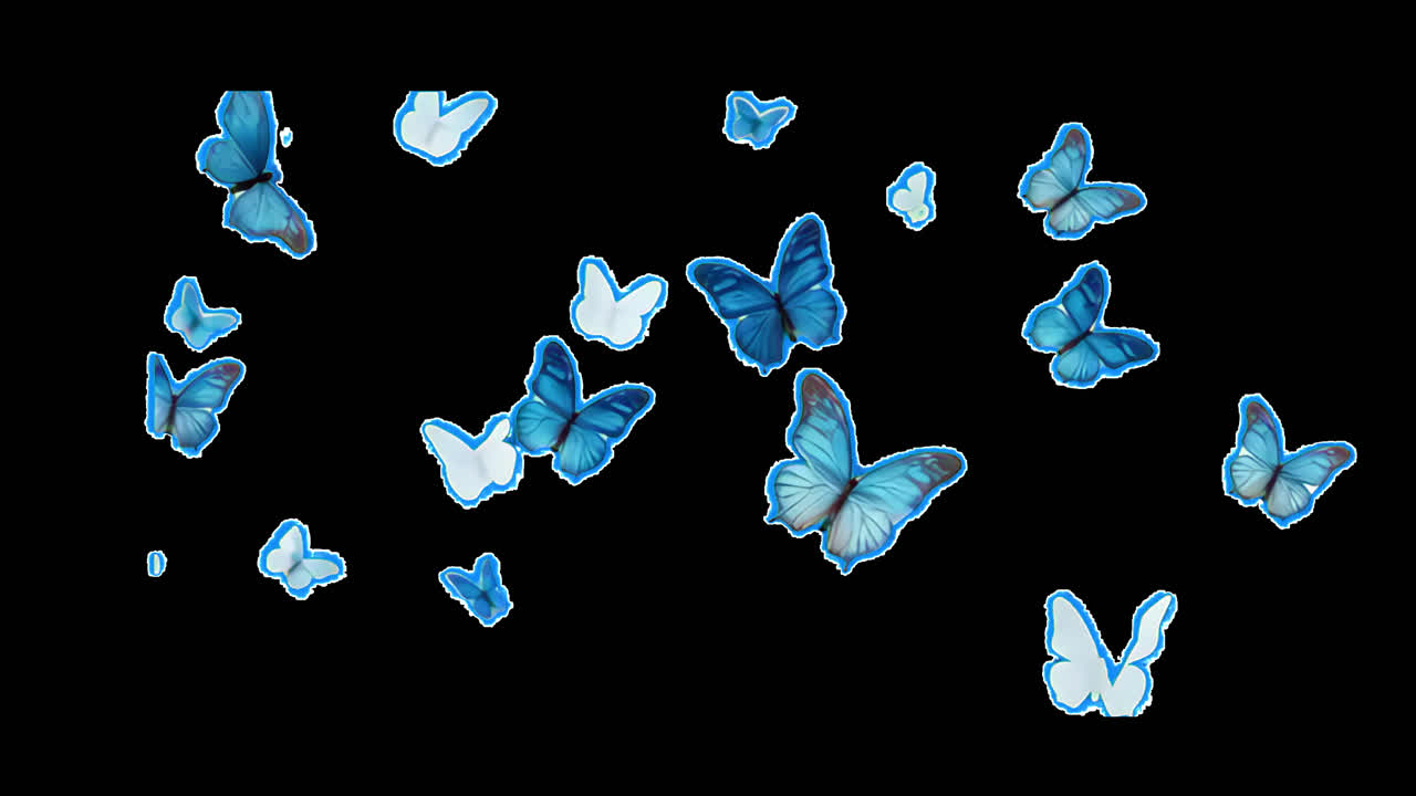 Farfalle vivaci