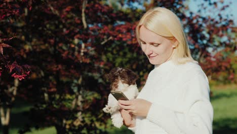 una mujer está usando un teléfono inteligente en el parque. en sus manos también tiene un cachorro. caminando con la mascota