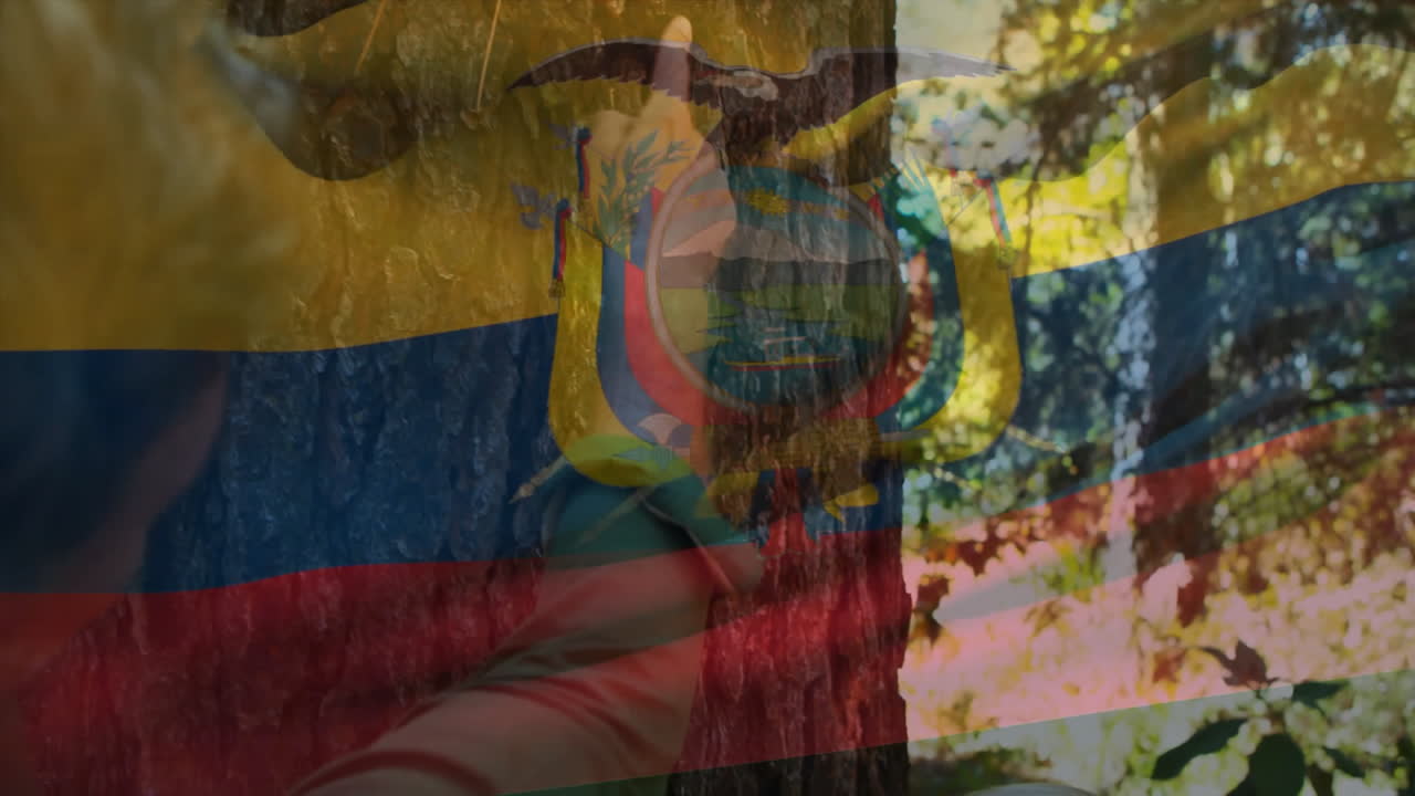 Ecuadorian flag animation overlaying tree trunk in natural outdoor environment