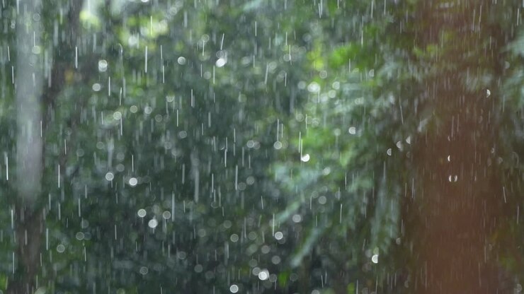 Debido a la influencia del monzón del suroeste, varias zonas de la India experimentan fuertes lluvias durante la temporada del monzón.