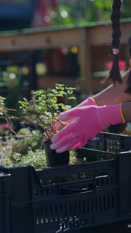 mujer jardinería con guantes rosados