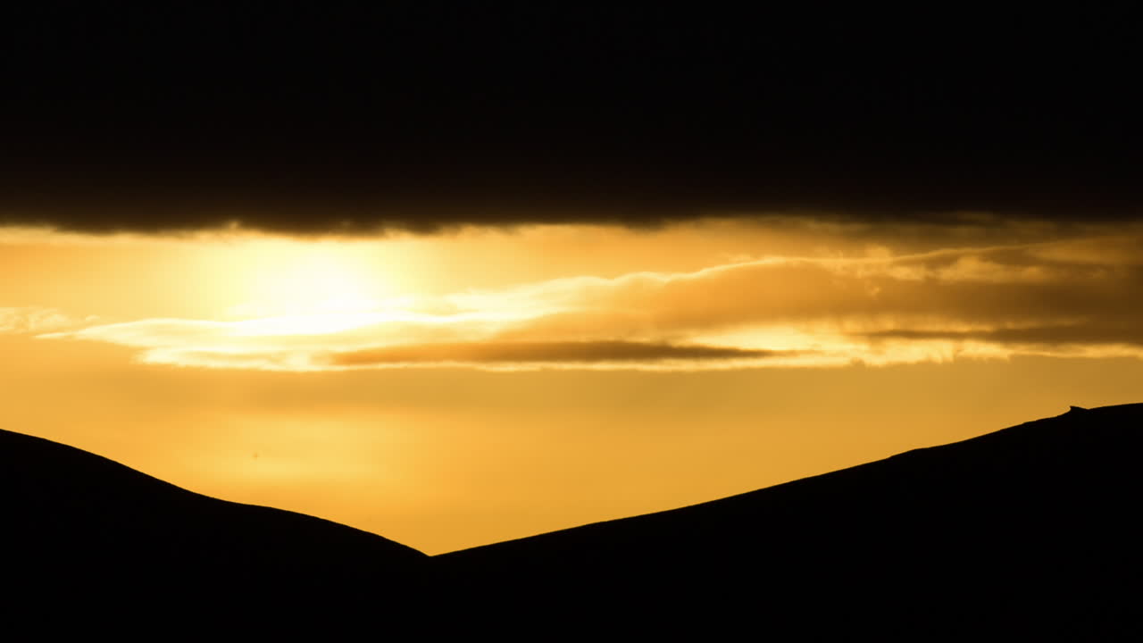 메르조가 선라이즈 01