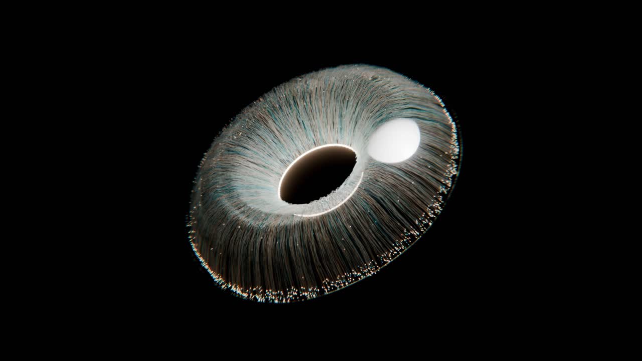 Abstract Donut Shape