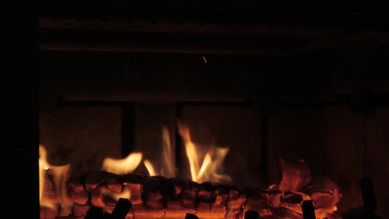 Quiet campfire surrounded by trees at night