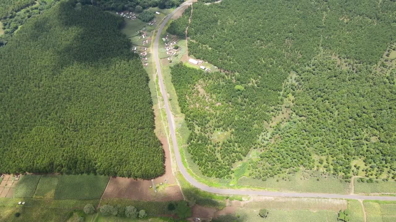 Nature in Africa. The green climate change campaign Africa kenya. the Paris Agreement.