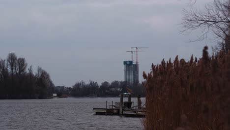 Kalte-Winterzeiten-In-Der-Natur