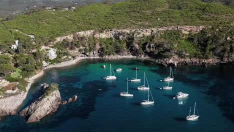 yachts and sailing boats docked in beautiful cove on coast of island