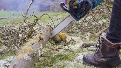 person using electric chainsaw to cut tree trunk, flying wood dust in air