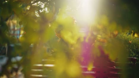 woman sitting on a park bench, enjoying the sunlight and flowers.