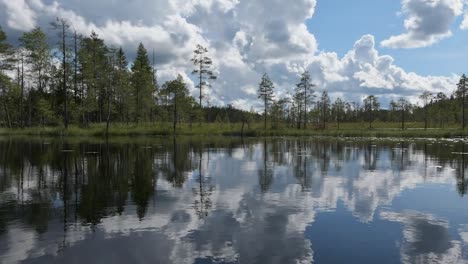 beautiful lake view with calm water reflection, nature reserve, finland