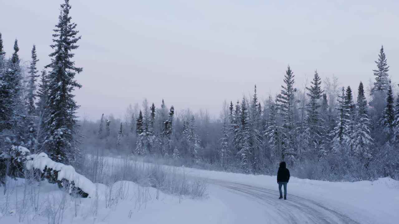 antena de una persona caminando sola en invierno en un camino forestal cubierto de nieve