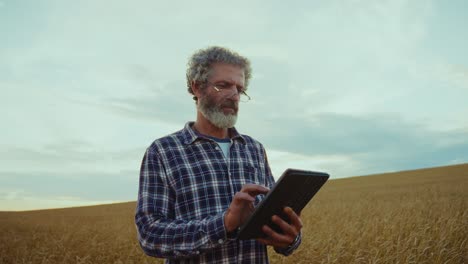 agricultor que utiliza tabletas en el campo de trigo