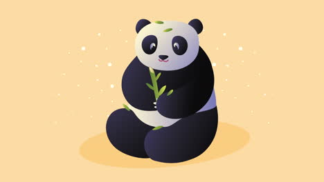 asian culture panda bear animation