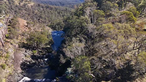 Drone camera smoothly descends above a forested river gorge near Ebor Falls, New South Wales, revealing rugged cliffs, flowing water, and sunlit trees