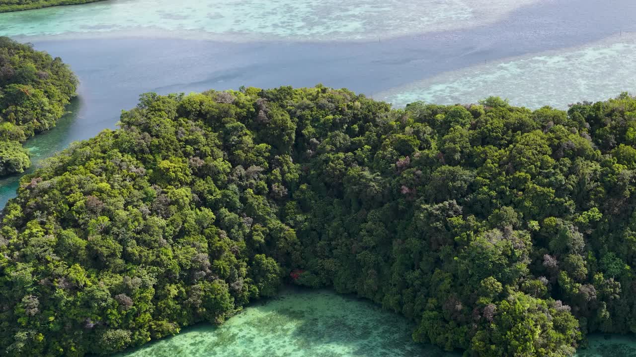 Droneopptak viser tette tropiske skoger på kalksteinsøyer omgitt av klare turkise korallrev.