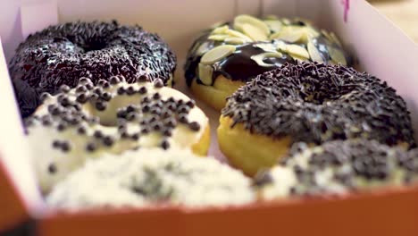 Focus-slide-on-Delicious-donuts-in-the-box-closeup-shot