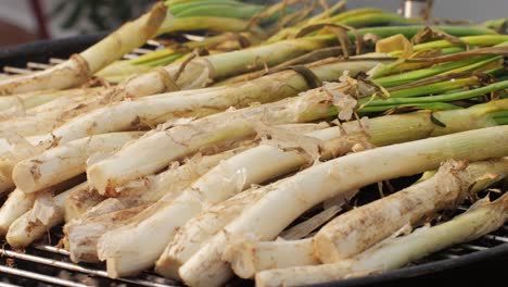 traditional spanish catalan green winter onion calcots, spring green season grill barbecue, vegan bbq with fire in barcelona, catalonia. close up of grilling green onion.