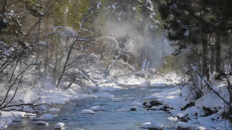 beautiful snow scene forest in winter.