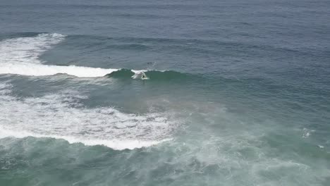 man surfer surfing perfect ocean waves drone aerial shot