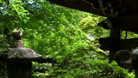 cinematic slow motion slider over typical japanese stone pillars in temple