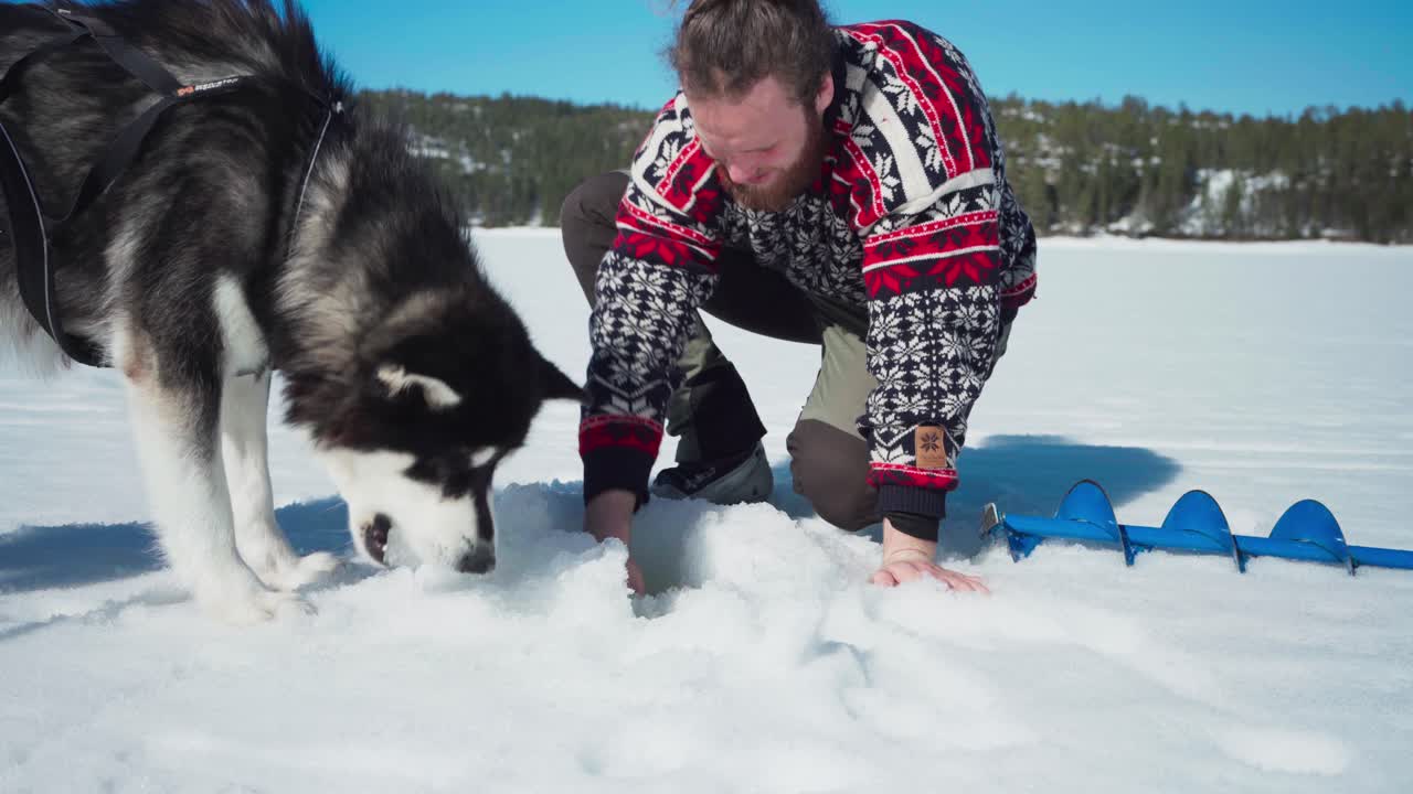 un hombre le da a un malamute de alaska un puñado de hielo del agujero de hielo durante las vacaciones de pascua