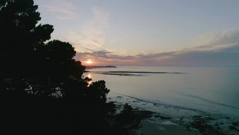 Drohnenaufnahme-Des-Sonnenaufgangs-über-Der-Strandlandschaft-Mit-Nach-Unten-Boomenden-Silhouettenkiefern