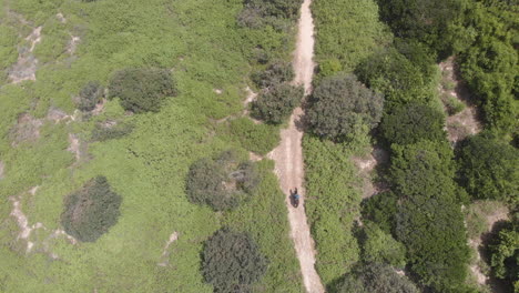 toma aérea de arriba hacia abajo sobre el jinete que viaja a lo largo del sendero de la playa soleada